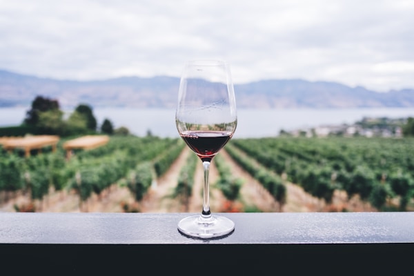 Morgan Edwards Fine Wines & Spirits — Wine Lounge & Bar in Knutsford