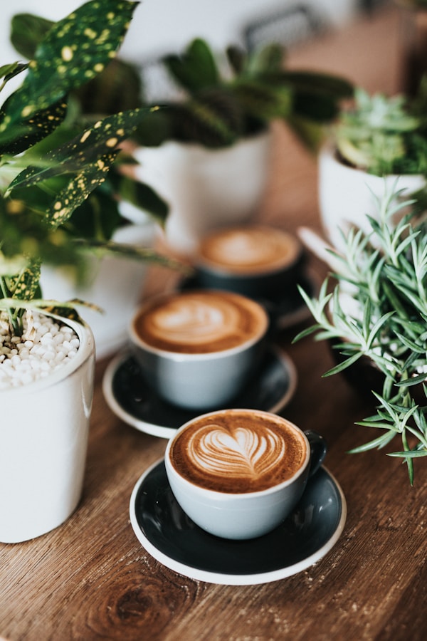 Tatton Perk — Specialty Coffee in Knutsford